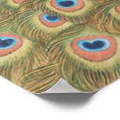 孔雀 ポスター (角)