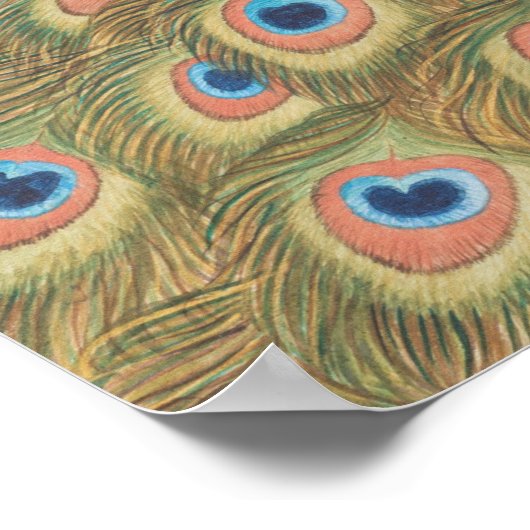 孔雀 ポスター (角)