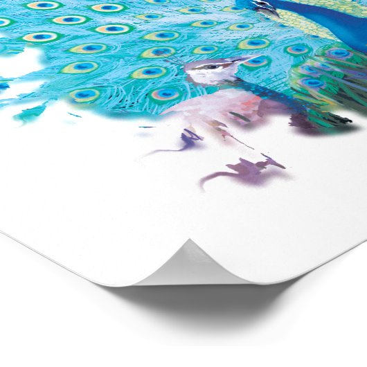 孔雀 ポスター (角)