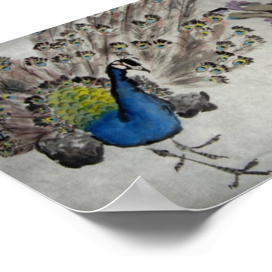 孔雀 ポスター (角)