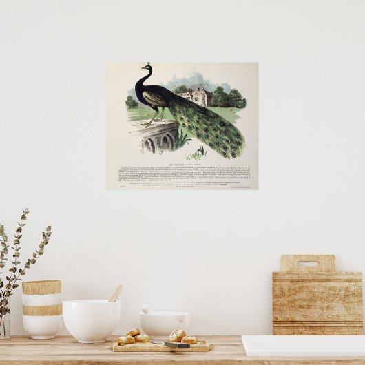 孔雀 ポスター (キッチン)