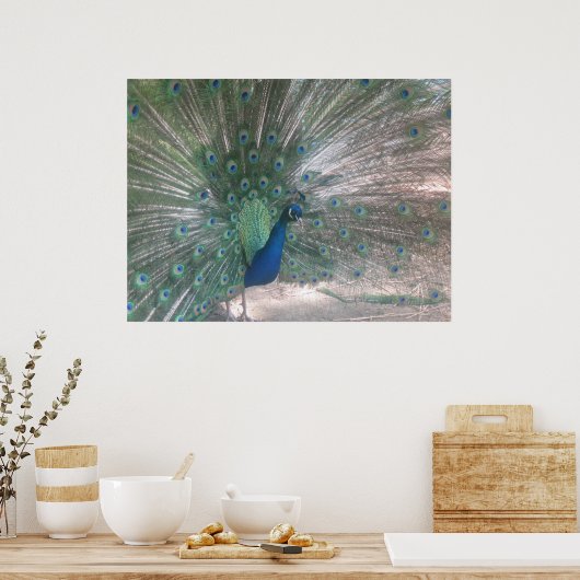 孔雀 ポスター (キッチン)
