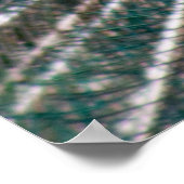 孔雀 ポスター (角)