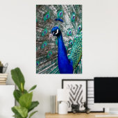 孔雀 ポスター (ホームオフィス)