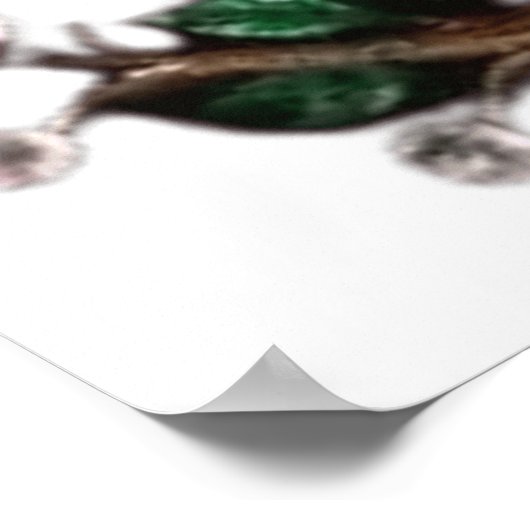 孔雀 ポスター (角)