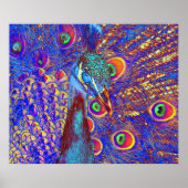 孔雀 ポスター (正面)