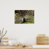 孔雀 ポスター (キッチン)