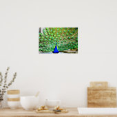 孔雀 ポスター (キッチン)