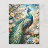 孔雀 ポストカード (正面)
