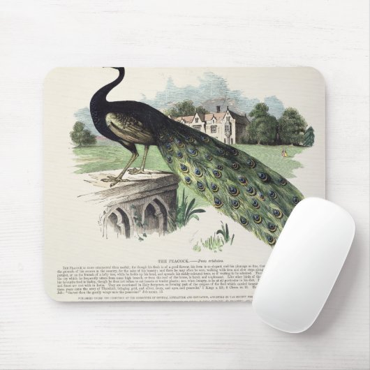 孔雀 マウスパッド (マウス)