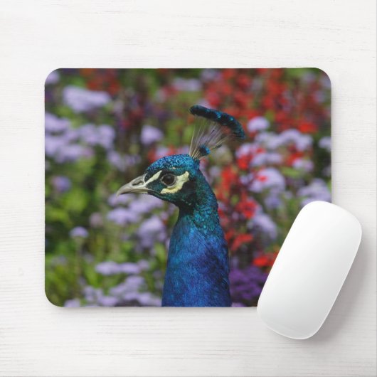 孔雀 マウスパッド (マウス)