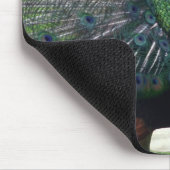 孔雀 マウスパッド (コーナー)