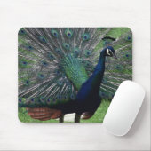 孔雀 マウスパッド (マウス)