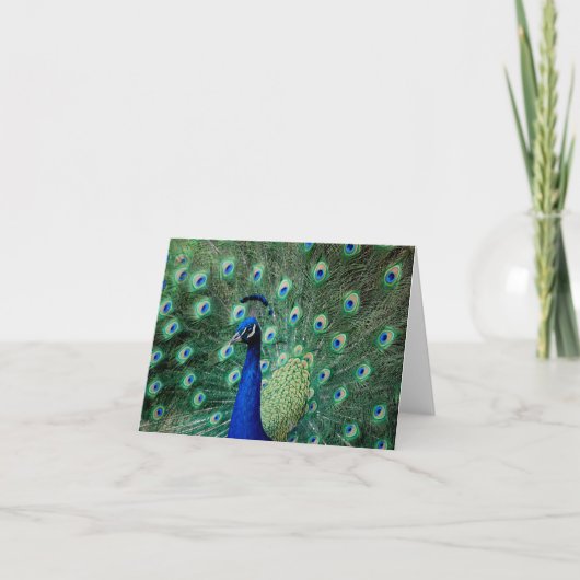 孔雀、メッセージカード カード (正面)