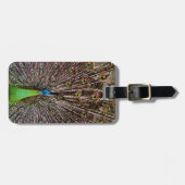 孔雀 ラゲッジタグ (正面横)