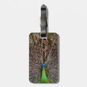 孔雀 ラゲッジタグ (裏面縦)