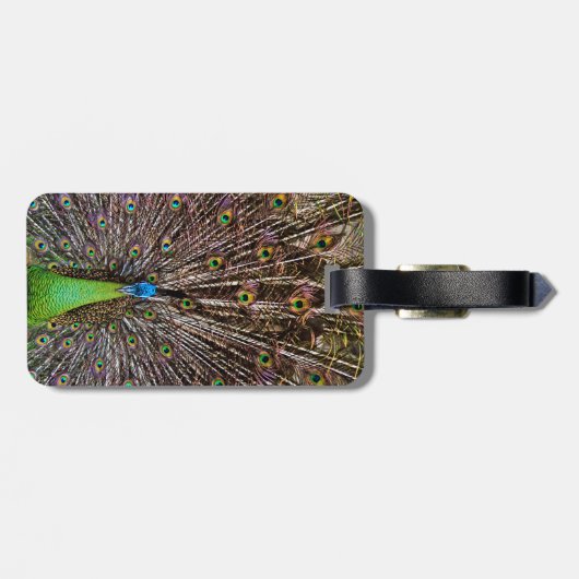 孔雀 ラゲッジタグ (裏面横)