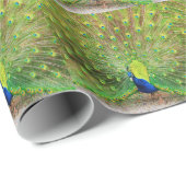 孔雀 ラッピングペーパー (ロールコーナー)