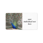 孔雀 ラベル (正面)