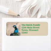 孔雀 ラベル (インサイチュ)