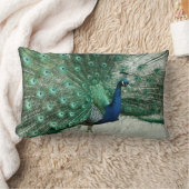 孔雀 ランバークッション (ブランケット)
