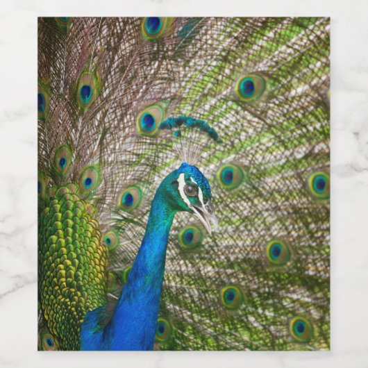 孔雀 ワインラベル (シングルラベル)