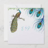 孔雀 ヴィンテージ 3 羽根 孔雀付き 招待状 (裏面)