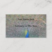 孔雀 名刺 (裏面)