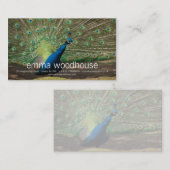 孔雀 名刺 (正面/裏面)