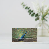 孔雀 名刺 (スタンド正面)