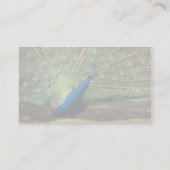 孔雀 名刺 (裏面)