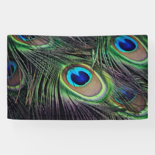 孔雀 横断幕 (横)