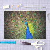 孔雀 薄葉紙 (クラフト)