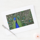孔雀 長方形シール (封筒)