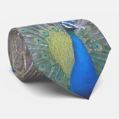 孔雀(1) ネクタイ (ロール)