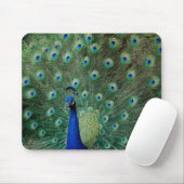 孔雀、mousepad マウスパッド (マウス)