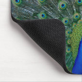 孔雀、mousepad マウスパッド (コーナー)