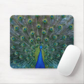 孔雀、mousepad マウスパッド (マウス)