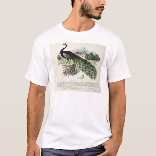孔雀 Tシャツ (正面)