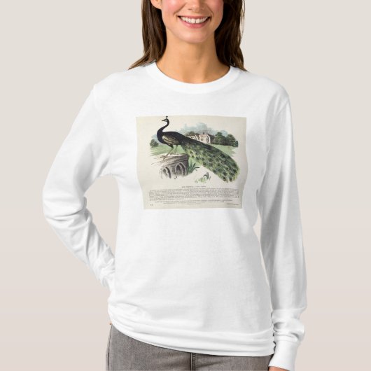 孔雀 Tシャツ (正面)