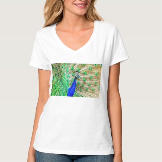 孔雀 Tシャツ (正面)