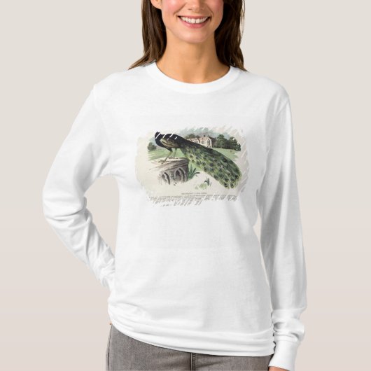 孔雀 Tシャツ (正面)