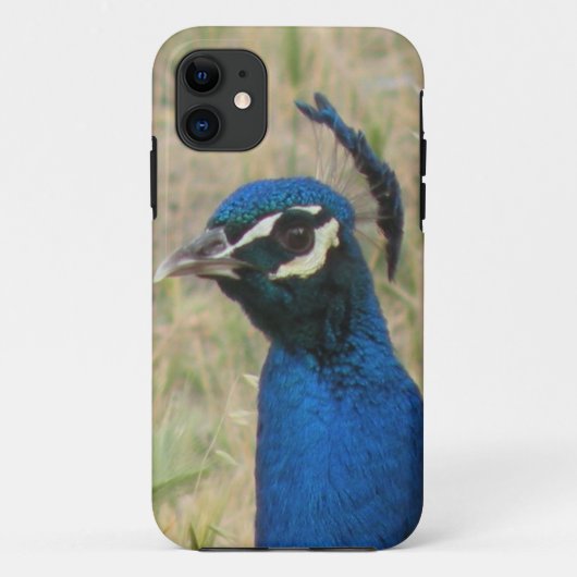 孔雀iPhone 5ケース Case-Mate iPhoneケース (裏面)