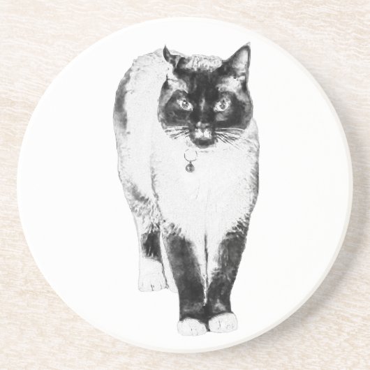 存王室の在 コースター (正面)