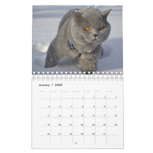 季節ごとのカレンダー用の猫 カレンダー