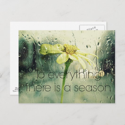 季節ごとの雨と花の窓 ポストカード (正面/裏面)