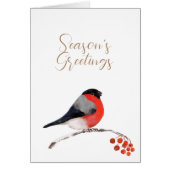 季節のごあいさつに朱色のブルフィンチカード (正面)