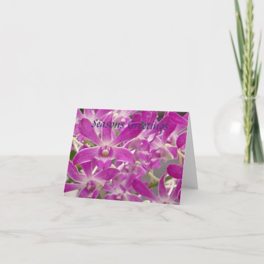 季節のごあいさつの蘭 シーズンカード (正面)