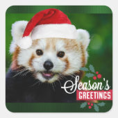 季節のごあいさつはレッドパンダ スクエアシール (正面)