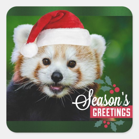 季節のごあいさつはレッドパンダ スクエアシール (正面)